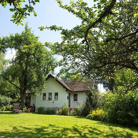 Ferienhaus Am Alten Bahndamm วาล์ดซัสเซน ภายนอก รูปภาพ